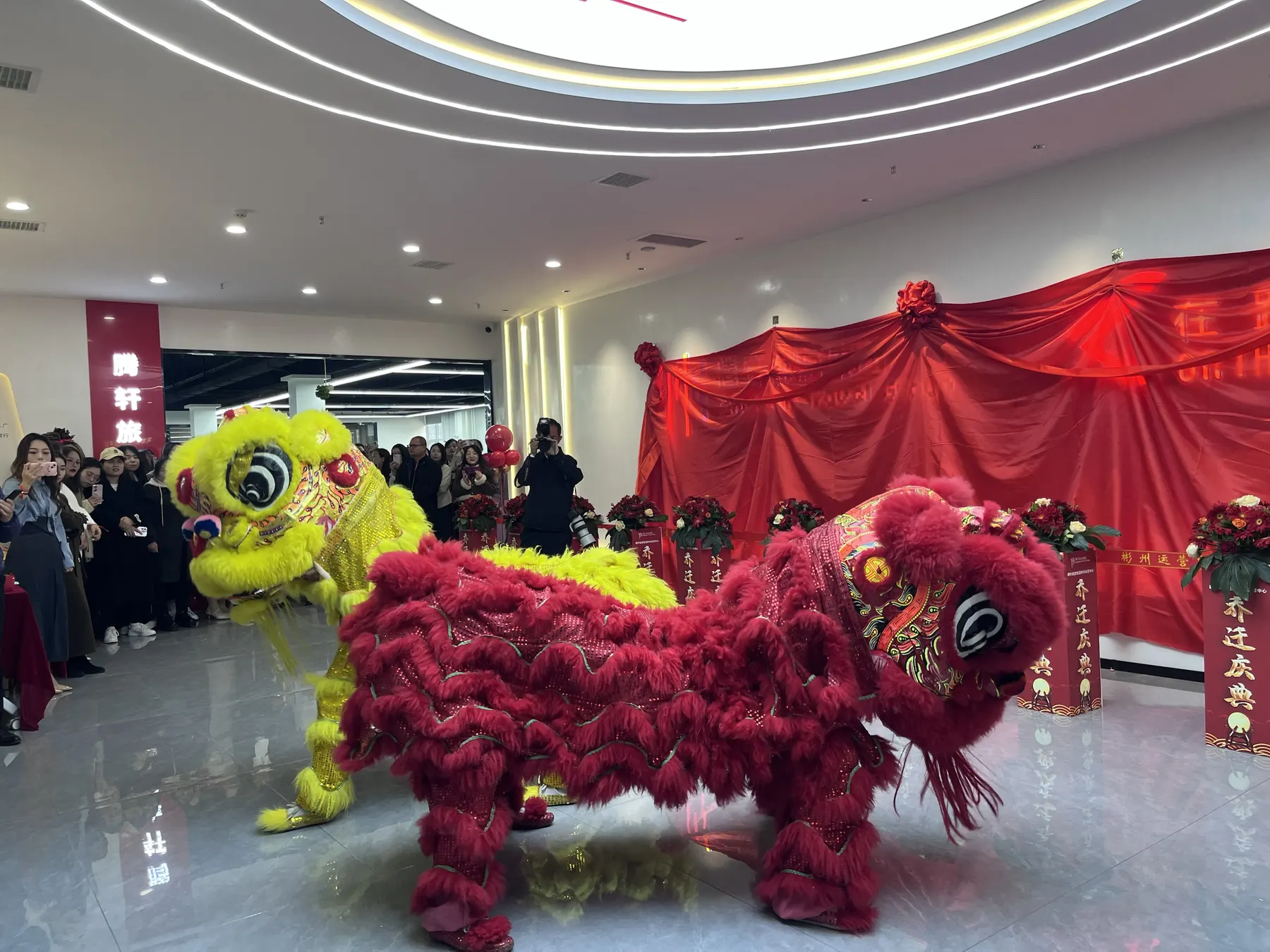 Lion dance performance at a Tengxuan office opening event