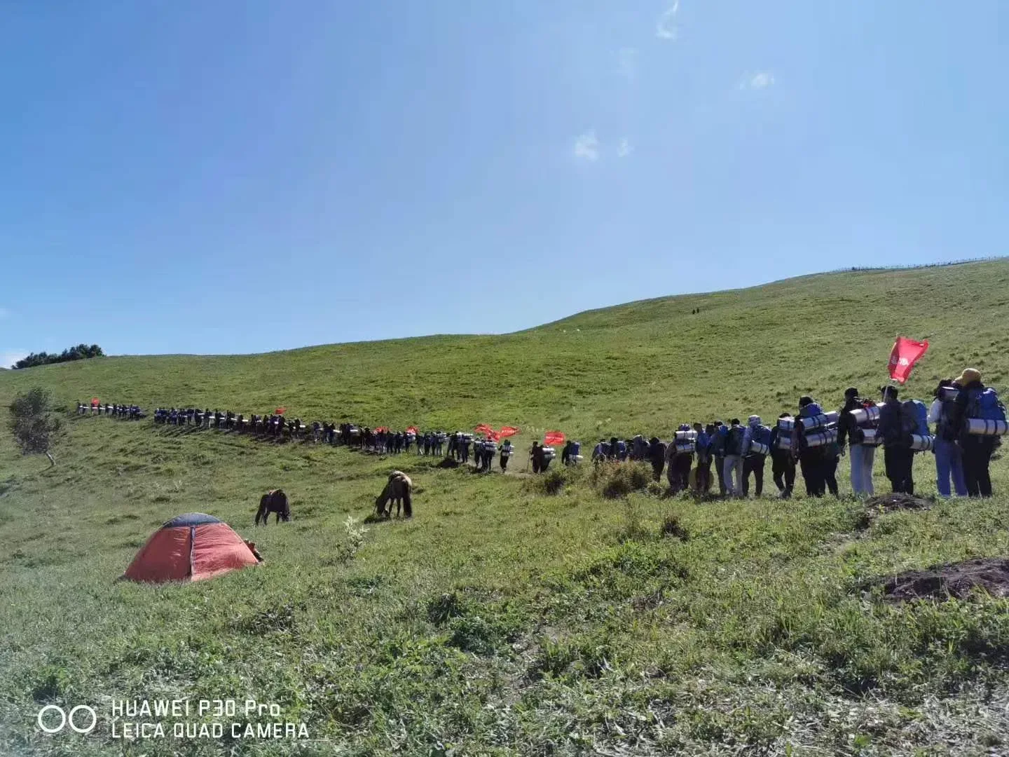 Tengxuan Travel team building activity on grassland