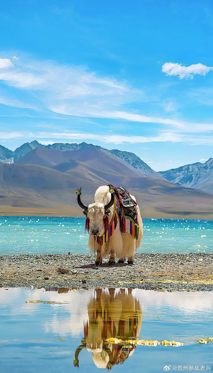 Tibet highland scenery near Lhasa