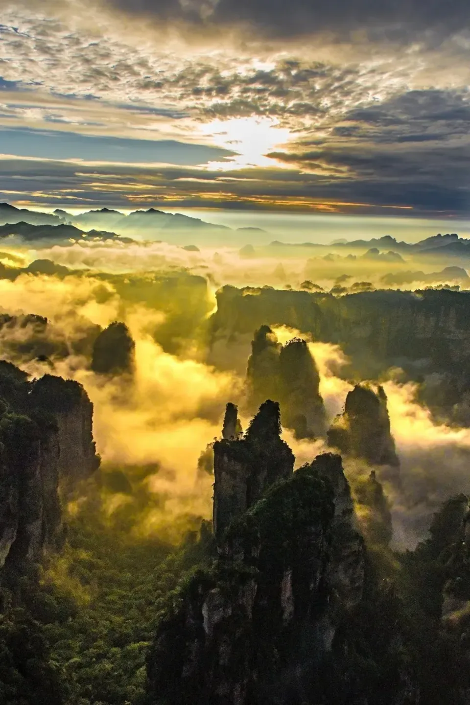 Zhangjiajie forest and peak scenery